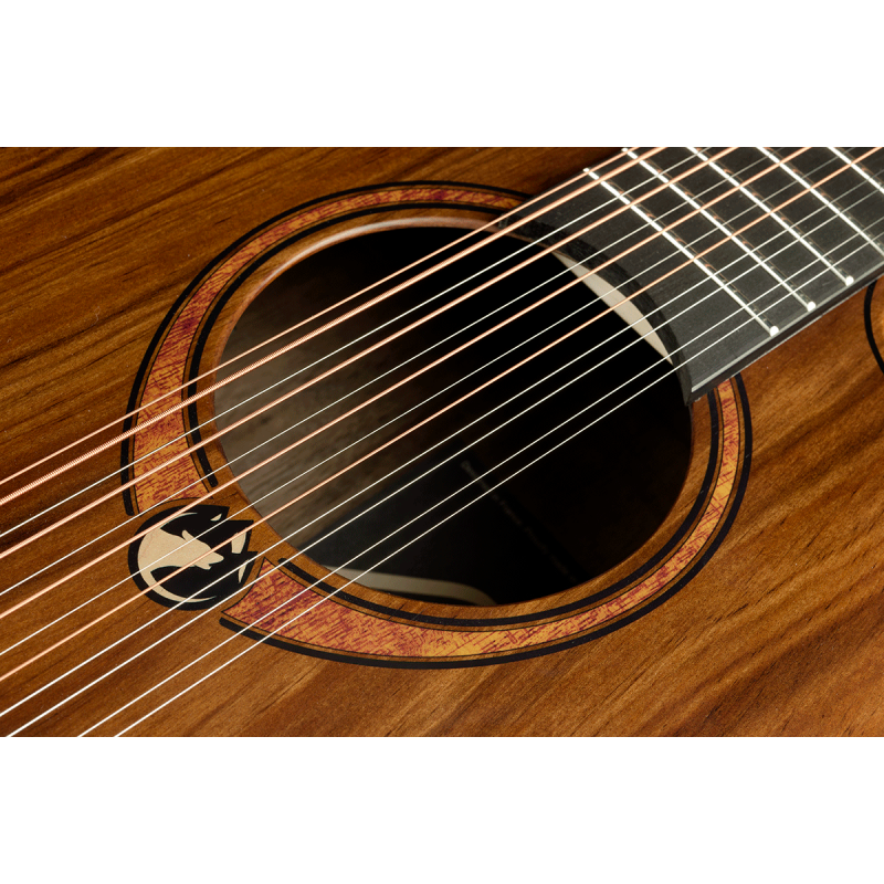 Jumbo 12 cordes strings Acoustic-Electric