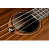 Acoustic Bass mit Pickupsystem