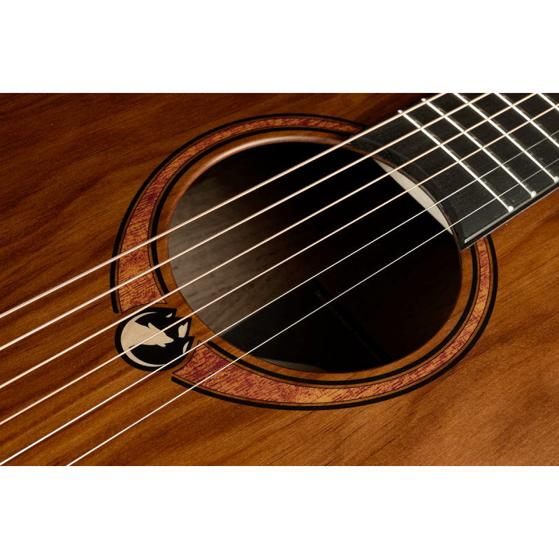 Dreadnought Cutaway Acoustic-Electric