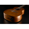 Travel Nylon Vintage Brown Satin Smart Guitar