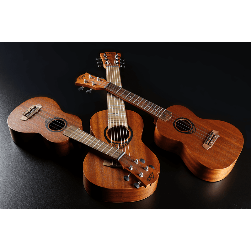 Mini-Gitarre im Ukulele-Stil, jedoch mit Gitarren-Stimmung