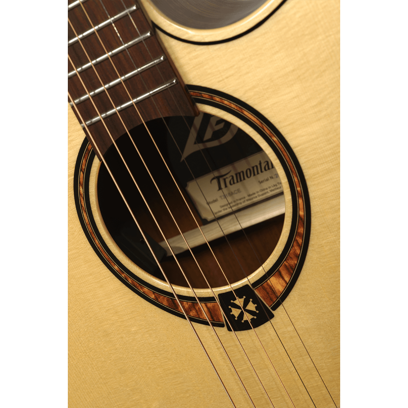 T318ACE Auditorium Cutaway Acoustic-Electric Natural