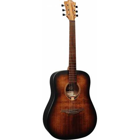 T70D-B&B Dreadnought Black & Brown