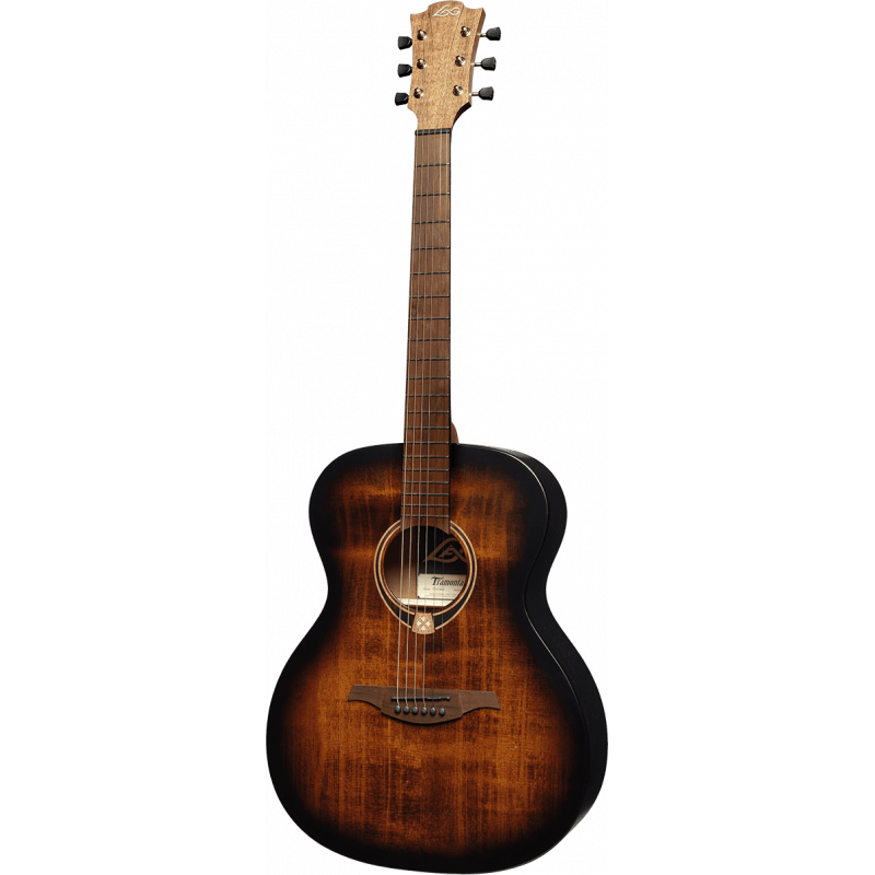 T70A-B&B Auditorium Black & Brown