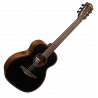 TNBW1TE BlueWave 1 Nylon Travel Acoustic-Electric