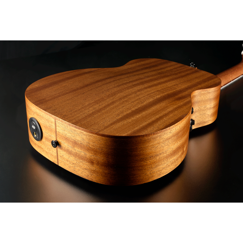 TNBW1TE BlueWave 1 Nylon Travel Acoustic-Electric