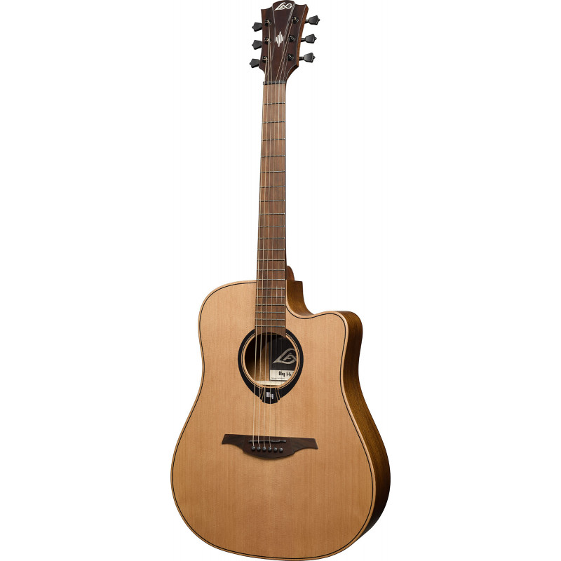 Dreadnought Pan Coupé Smart Guitar