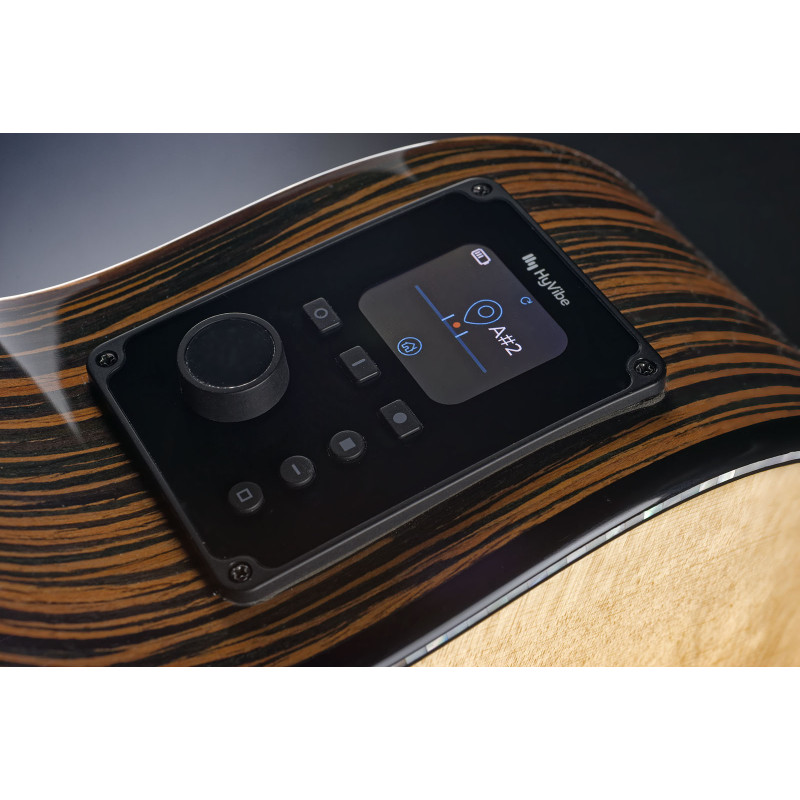 Auditorium Nylon Bevel Pan Coupé Smart Guitar