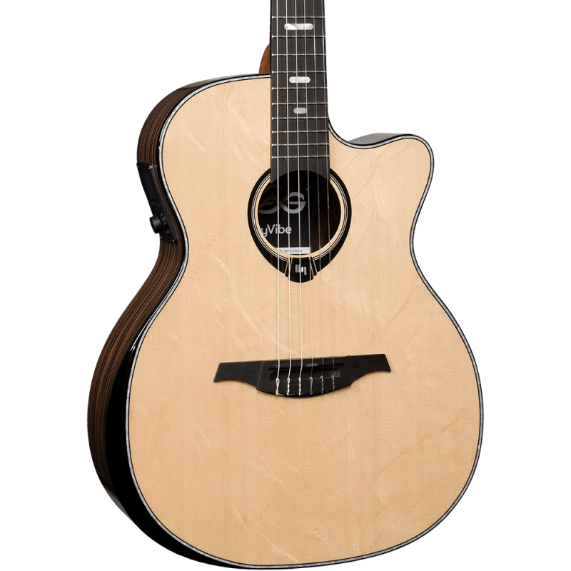 Auditorium Nylon Bevel Pan Coupé Smart Guitar