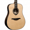 Dreadnought Bevel Smart Guitar