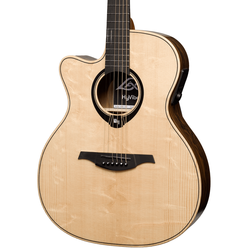 Auditorium Gaucher Pan Coupé Smart Guitar