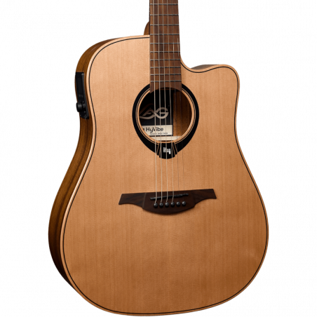 Dreadnought Pan Coupé Smart Guitar