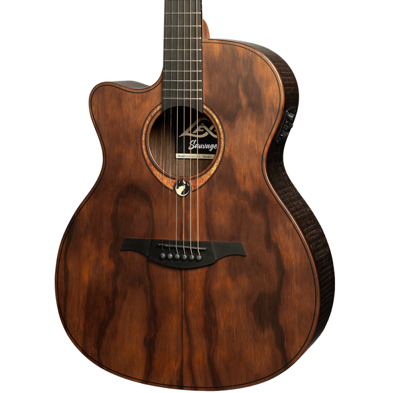 Auditorium Gaucher Pan Coupé Électro