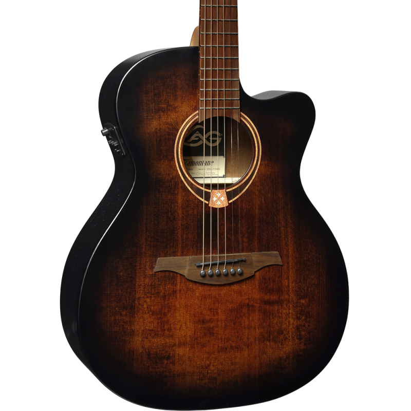 Auditorium Cutaway Elektroakustisch Black & Brown