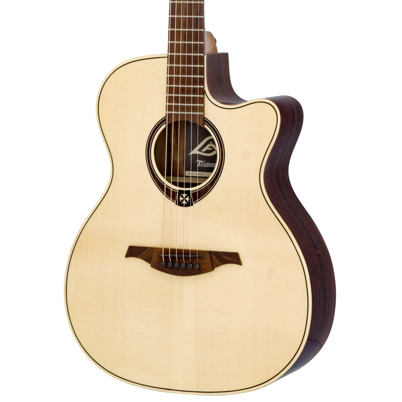 Auditorium Cutaway Elektroakustisch