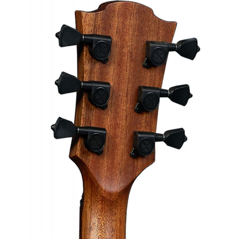 Auditorium Cutaway Elektroakustisch