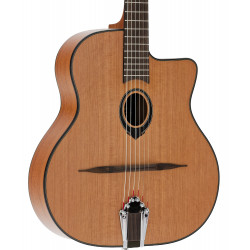 Oval Hole Red Cedar / Mahogany